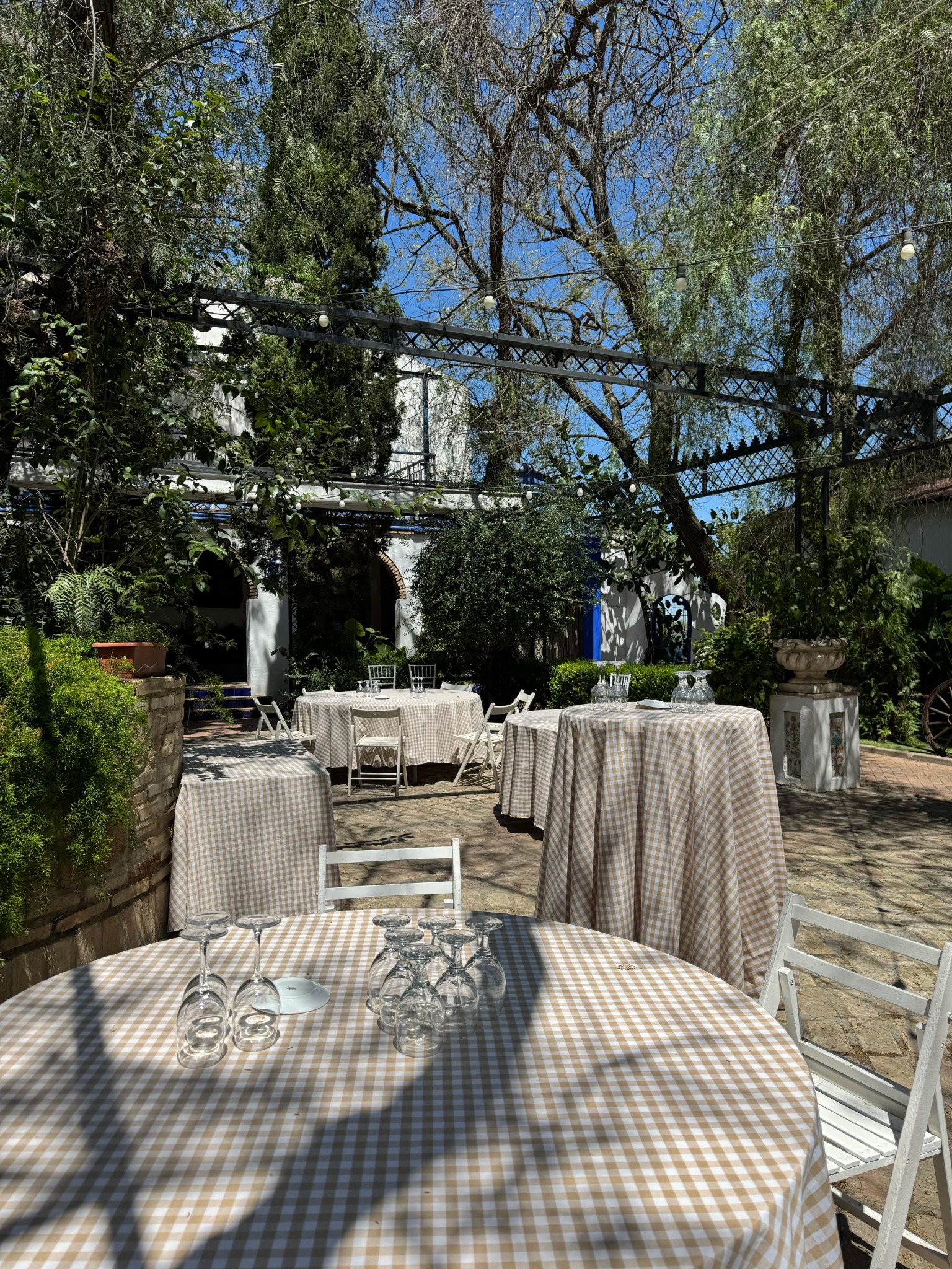 Terraza